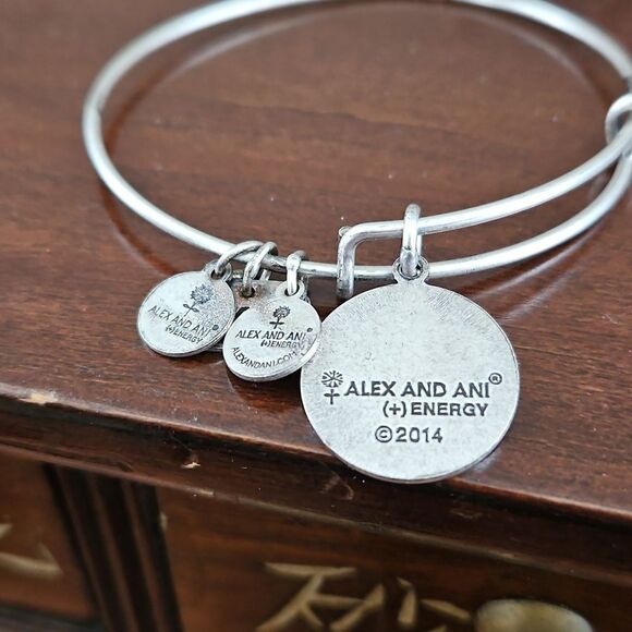 Alex and Ani Silver Charm Bracelet - Picture 8 of 8